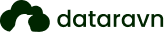 DataRavn Logo